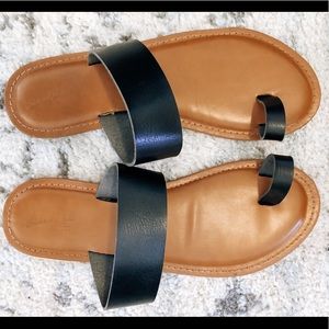 Black and Tan slides